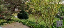 Blick in den Garten Zuhause auf ca. 49 m� in Haunstetten-S�d! 1-Zimmer-Wohnung mit Terrasse und Garage in ruhiger Lage